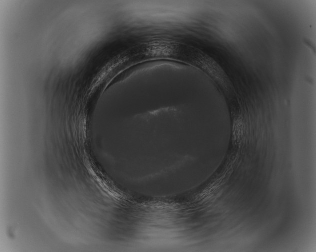 X0000101950722200807181449