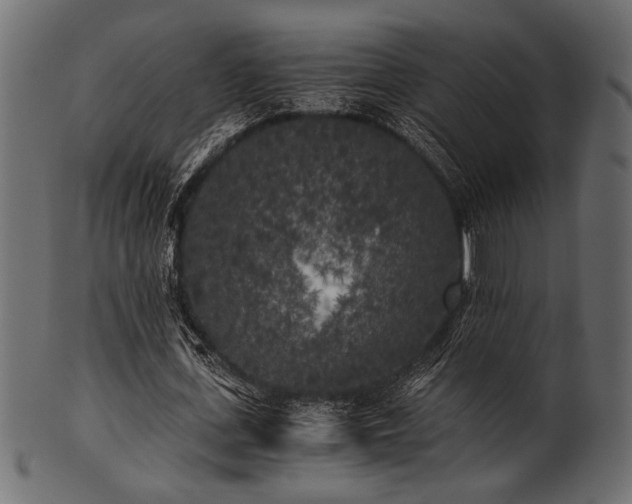 X0000101950723200807181449