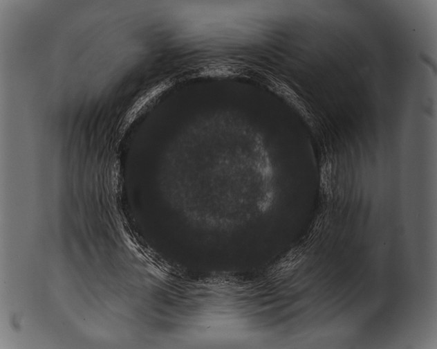 X0000101950724200807181450