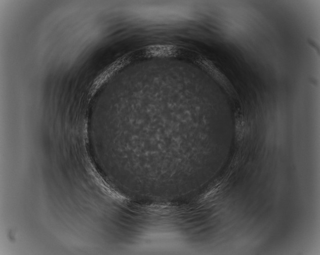 X0000101950725200807181450