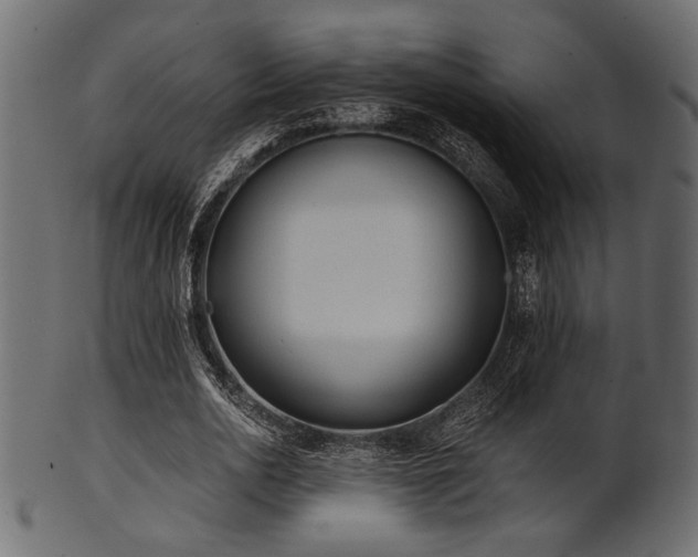 X0000101950726200807181450