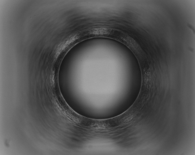 X0000101950727200807181450