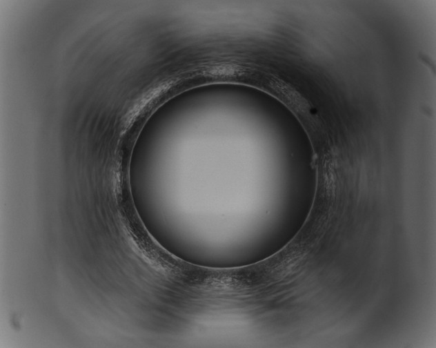 X0000101950728200807181450