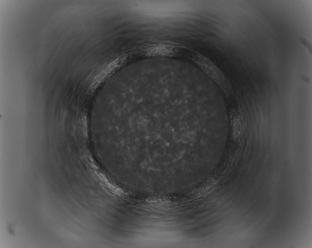 X0000101950729200807181450