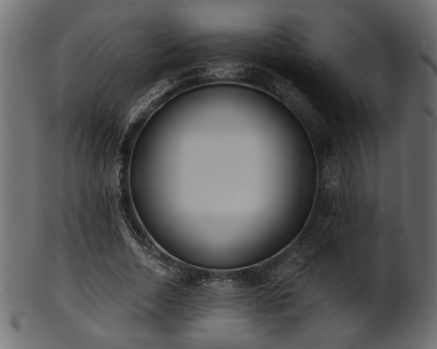 X0000101950730200807181450