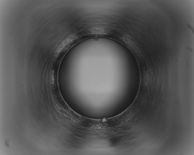 X0000101950731200807181450