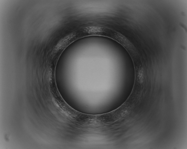 X0000101950732200807181450