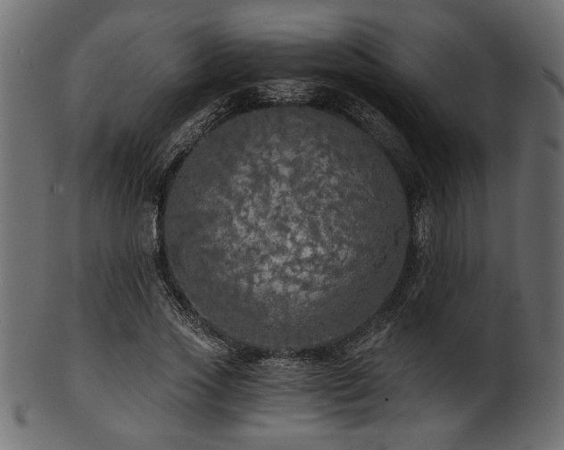 X0000101950733200807181450