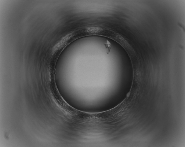 X0000101950734200807181450