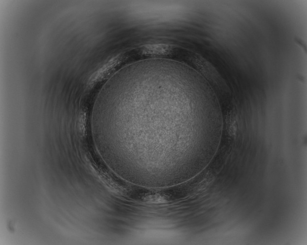 X0000101950735200807181450