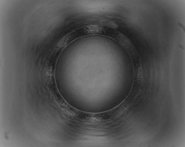 X0000101950737200807181450