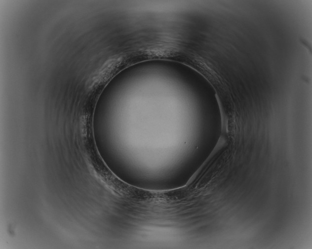 X0000101950738200807181450