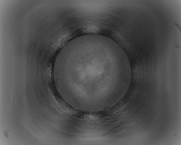 X0000101950739200807181450