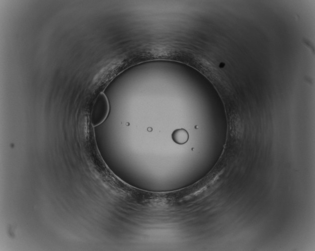 X0000101950740200807181450