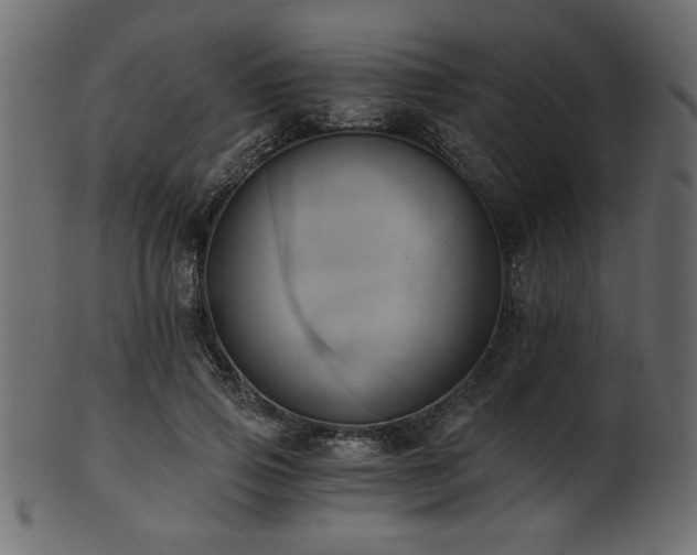 X0000101950741200807181450