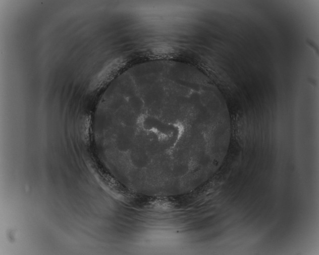 X0000101950742200807181450