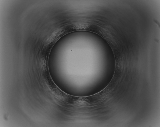 X0000101950743200807181450