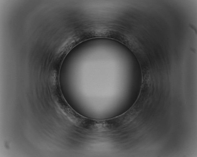 X0000101950744200807181450