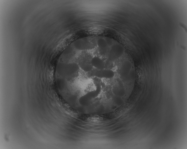 X0000101950745200807181450