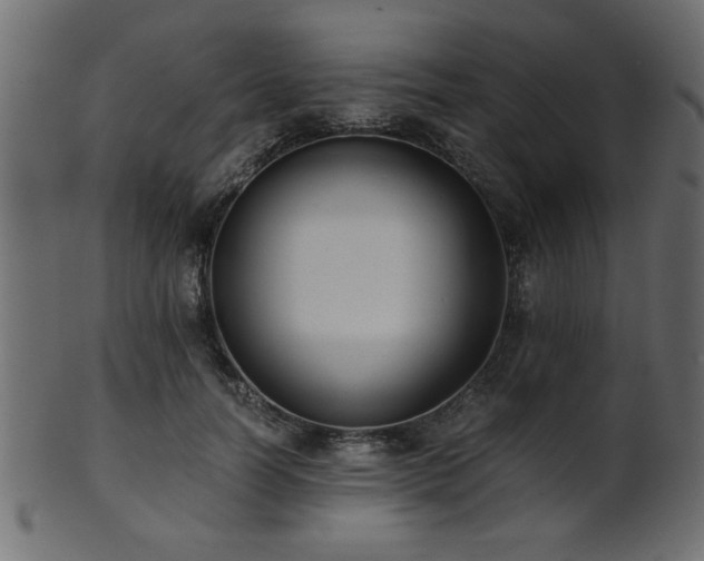 X0000101950746200807181450