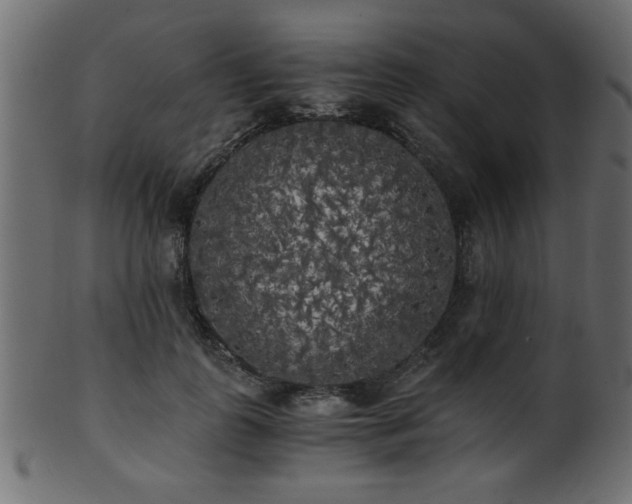 X0000101950747200807181450