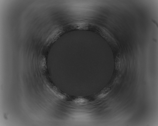 X0000101950748200807181450