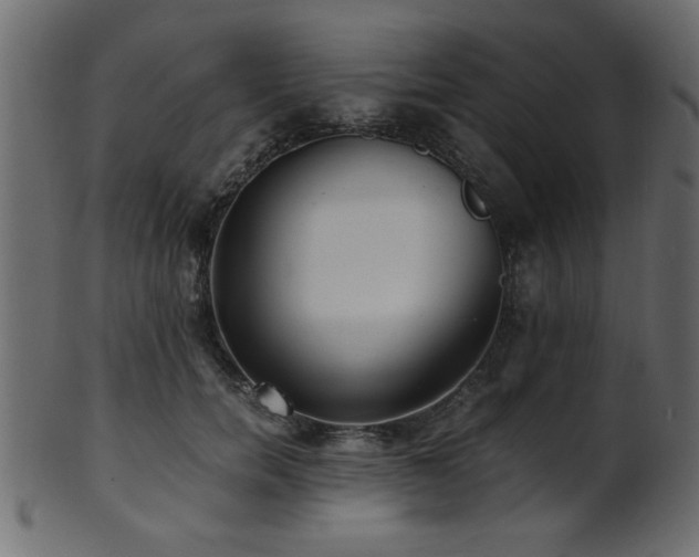 X0000101950750200807181450