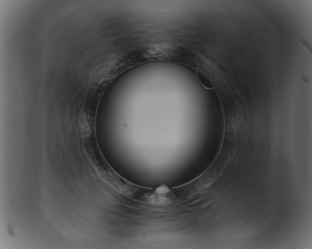 X0000101950751200807181450