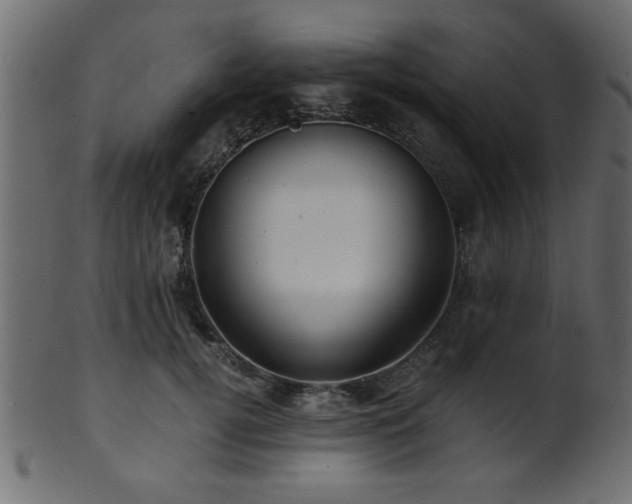 X0000101950752200807181450