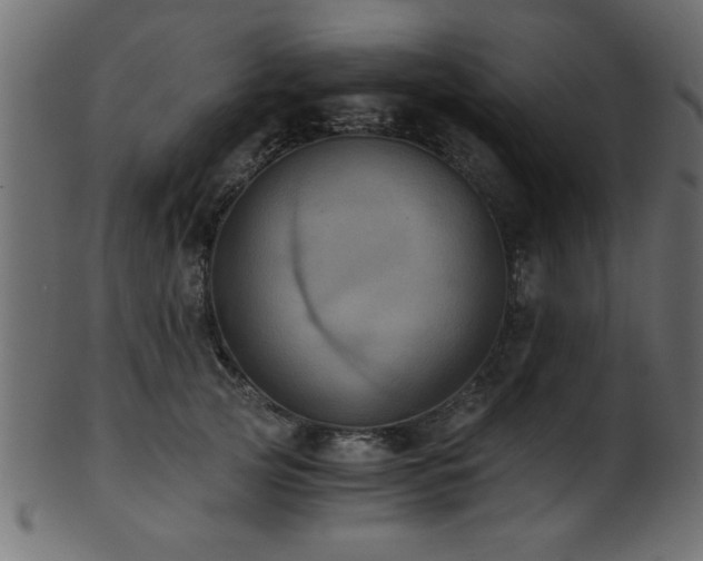 X0000101950753200807181450