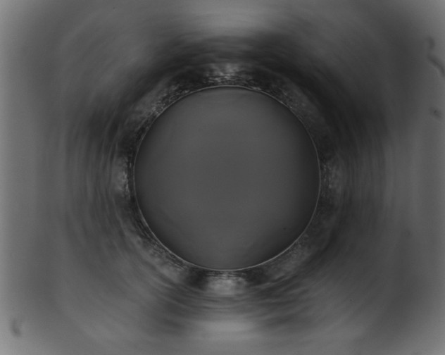 X0000101950754200807181450