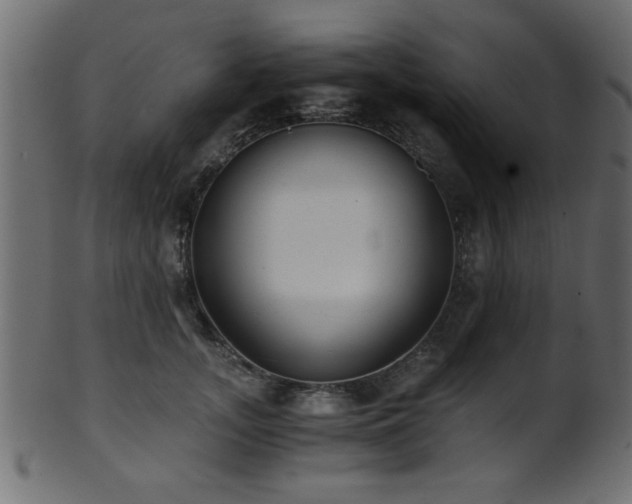 X0000101950755200807181450