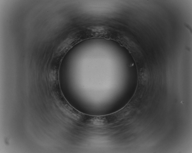 X0000101950756200807181450