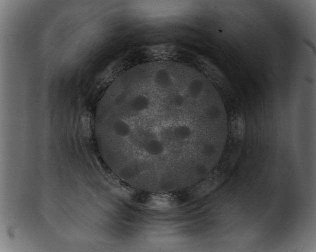 X0000101950757200807181450