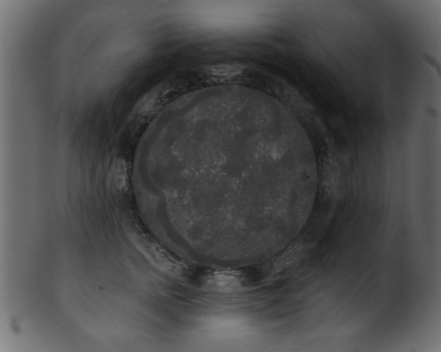 X0000101950758200807181450