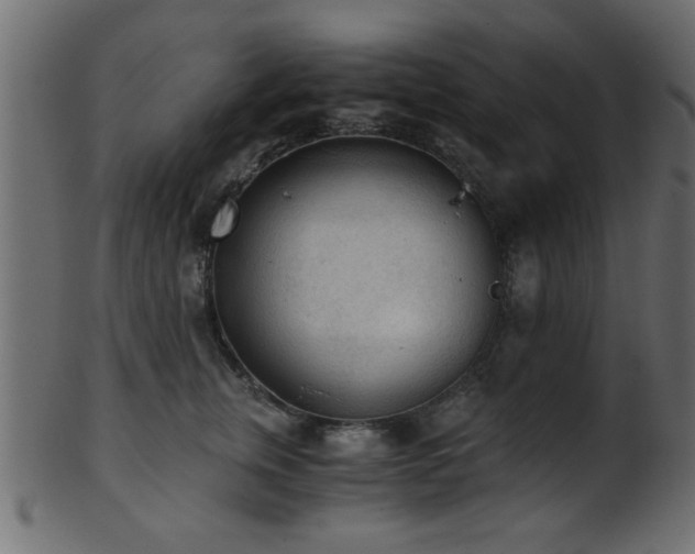 X0000101950759200807181450