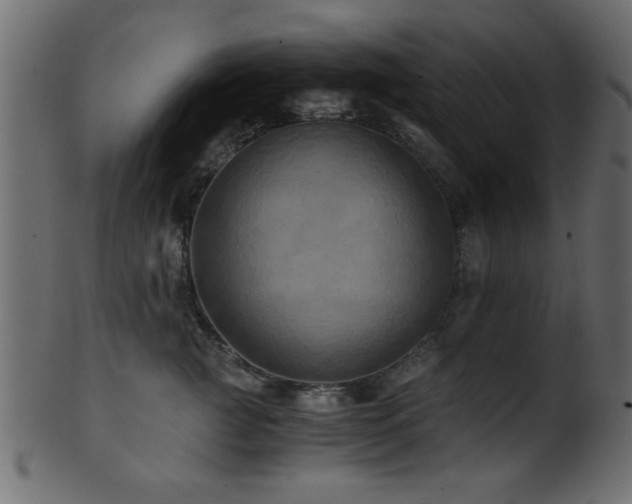 X0000101950761200807181450