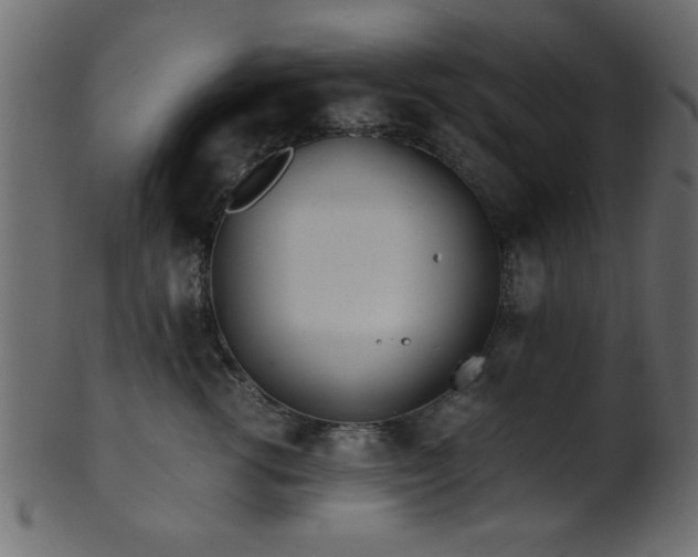 X0000101950762200807181450