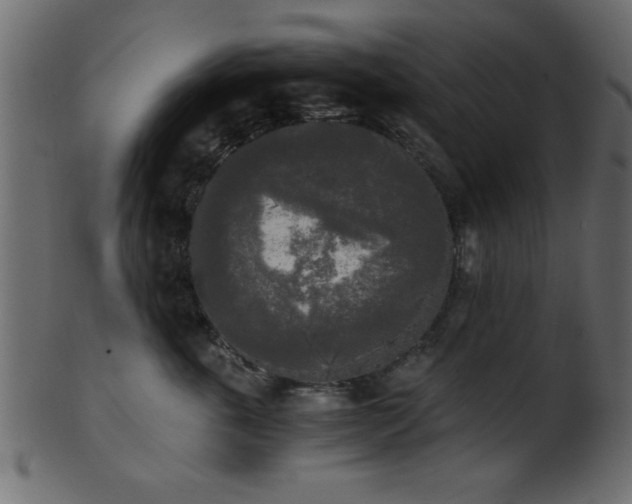 X0000101950763200807181450