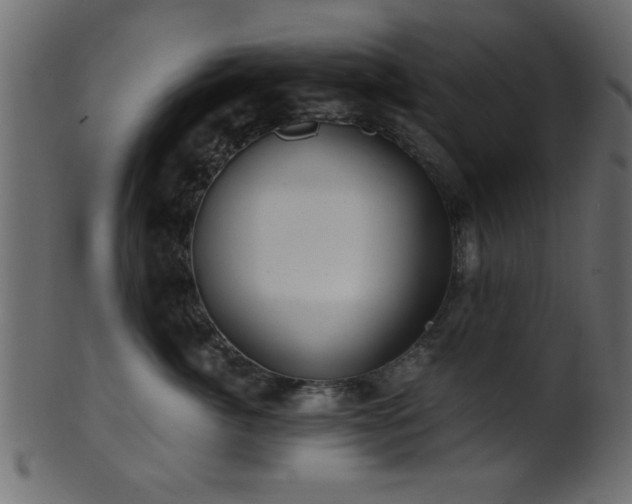 X0000101950764200807181450