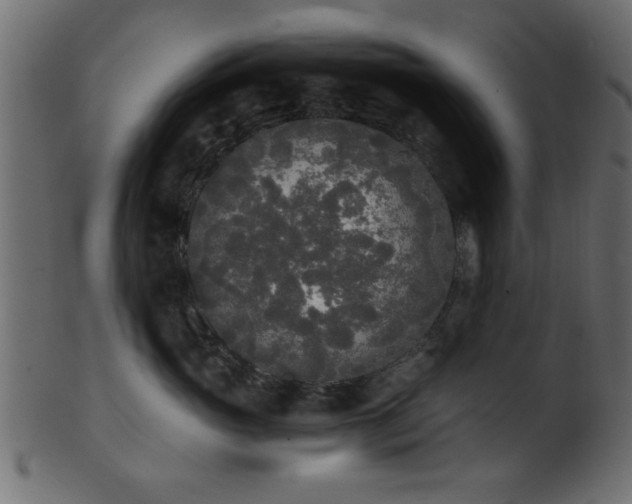 X0000101950765200807181450