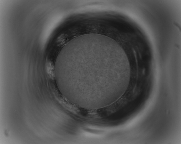 X0000101950766200807181450