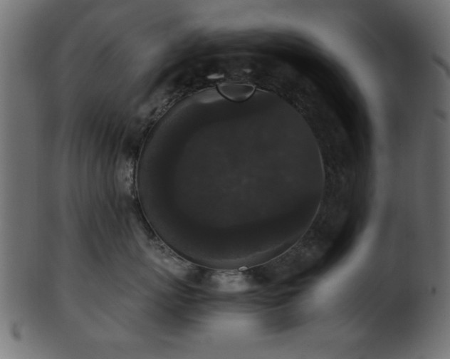 X0000101950767200807181450