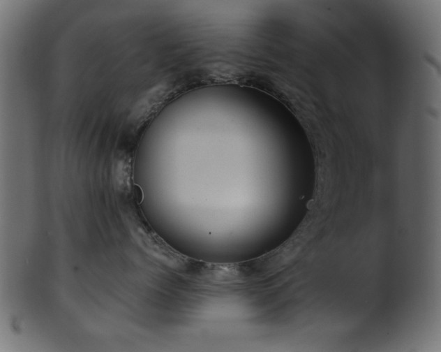 X0000101950768200807181450