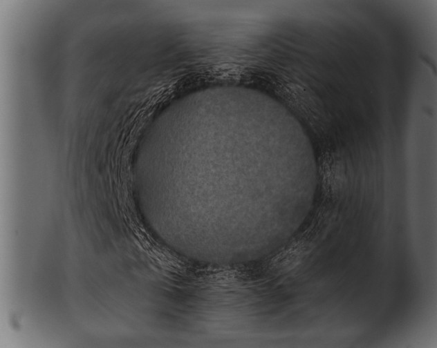 X0000101950769200807181449