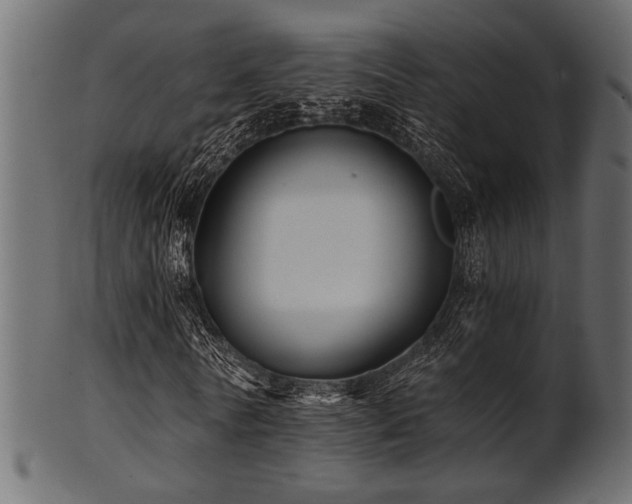 X0000101950770200807181449