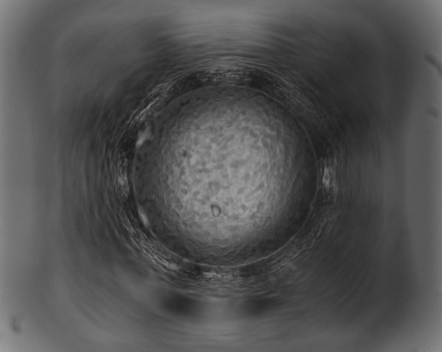 X0000101950771200807181449