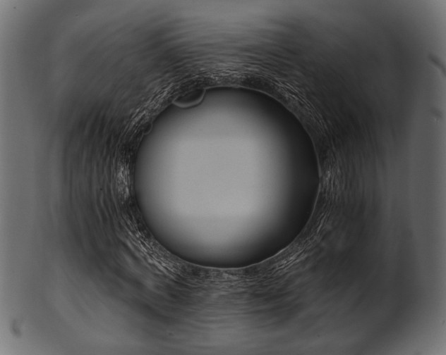 X0000101950772200807181449