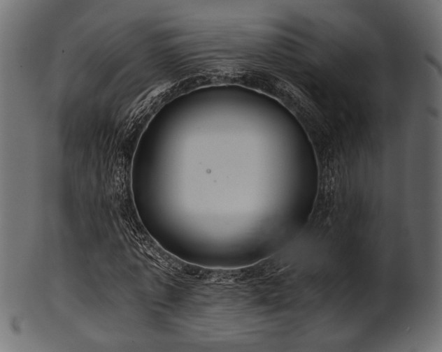 X0000101950773200807181449