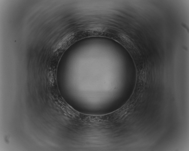 X0000101950774200807181449